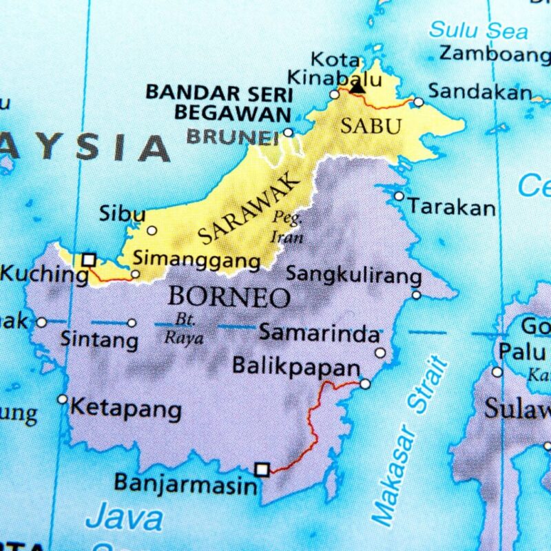 mercado malaio abre portas para exportadores de aves e promete