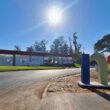 minerva foods ganha selo ouro pelo 4o ano seguinte por
