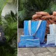 moda sustentavel com residuos plasticos na ecokaari transformando lixo em