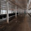Montenegro impõe vazio sanitário de 28 dias após desinfecção, garantindo segurança e saúde agrícola na região.