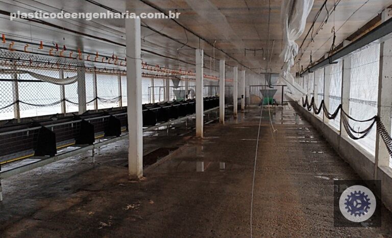 Montenegro impõe vazio sanitário de 28 dias após desinfecção, garantindo segurança e saúde agrícola na região.