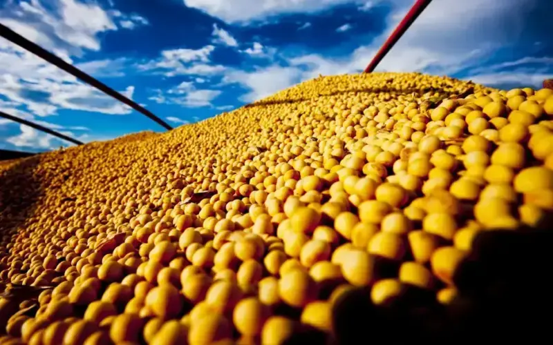 Moratória da Soja em xeque eleva risco e custo dos biocombustíveis brasileiros