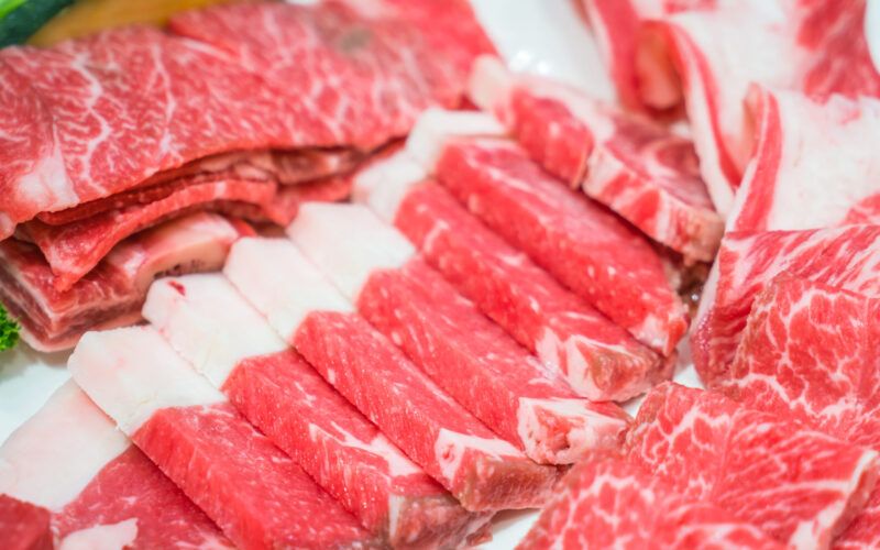 mt alcanca novo recorde na exportacao de carne bovina