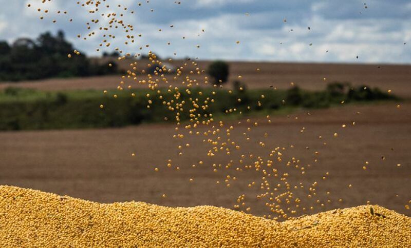 na soja recorde a vista devido ao aumento da area