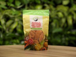 NOVA e Pregis Juntas: A Revolução da Embalagem Alimentar Sustentável que Você Precisa Conhecer! 9 nova e pregis juntas a revolucao da embalagem alimentar sustentavel.jpgmaxwidth1200