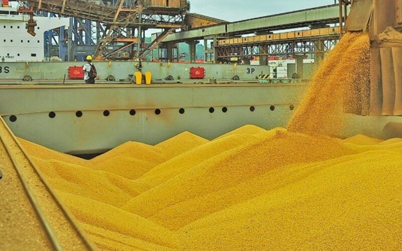 novo hub de soja revoluciona logistica e impulsiona economia veja