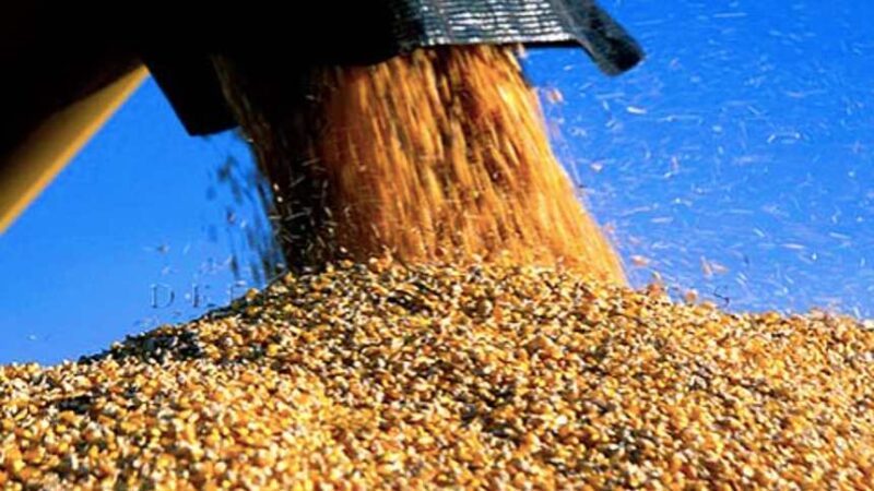 novo plano safra traz juros altos reducao no subsidio e