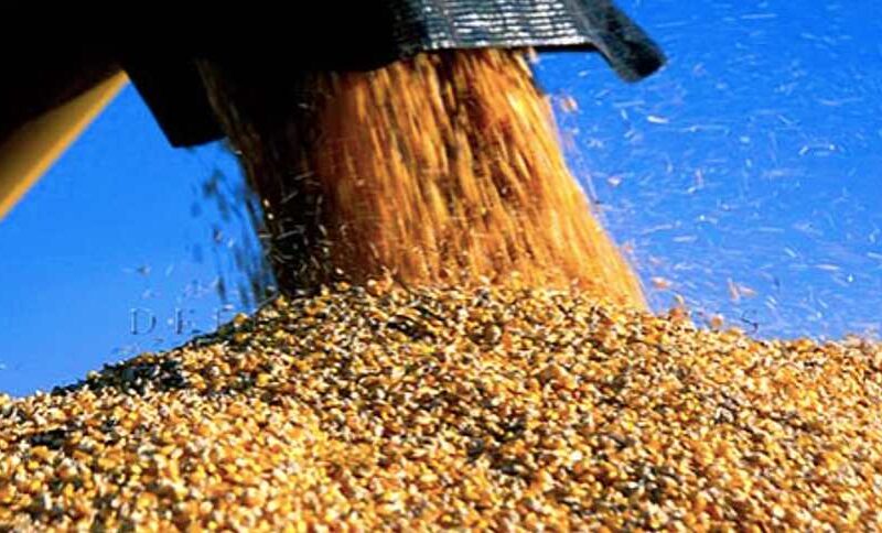 novo plano safra traz juros altos reducao no subsidio e