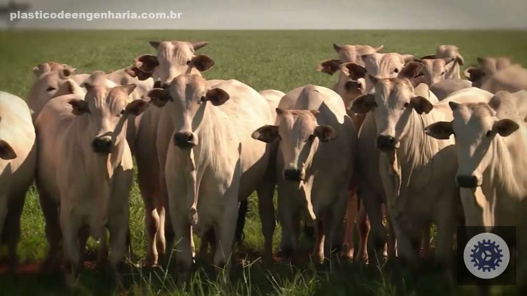 nr14udp9zjk