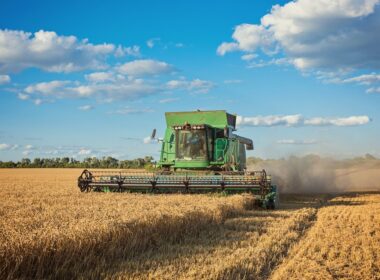 o poder do agronegocio impulsionando o crescimento das franquias no