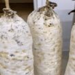o uso estrategico do penicillium na industria alimenticia
