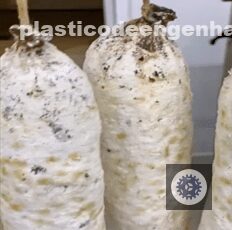 o uso estrategico do penicillium na industria alimenticia