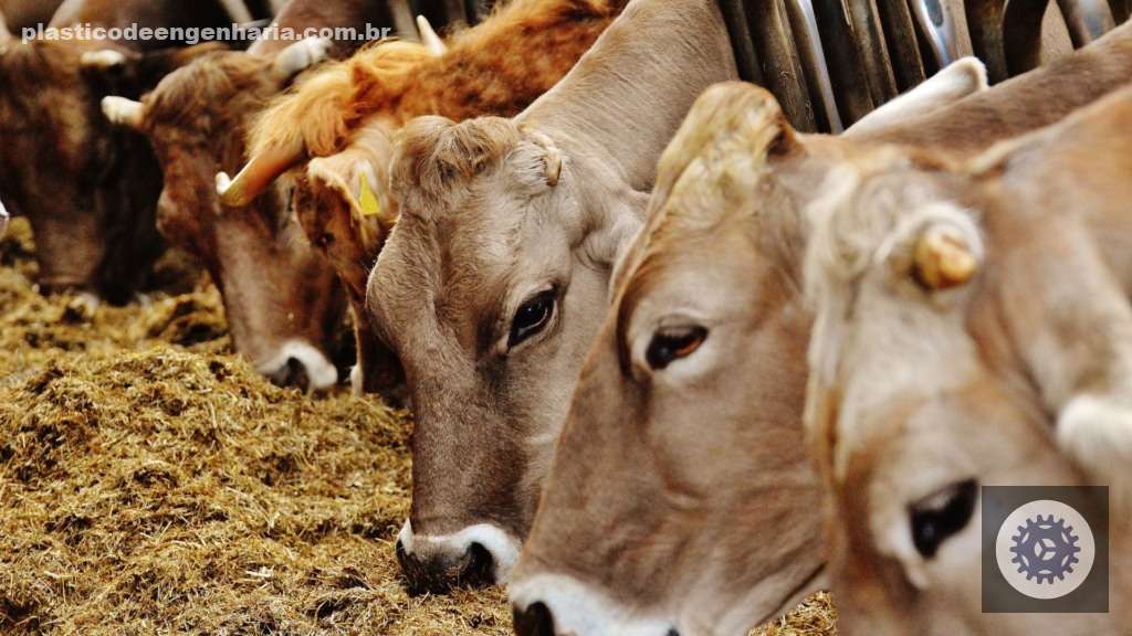 Hipocalcemia subclínica: identifique sinais e adote estratégias eficazes para proteger sua saúde óssea e geral 4 ordenha vacas leiteiras 11.04.2025 6
