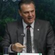 orgulho nacional favaro declara independencia ao rejeitar influencia francesa