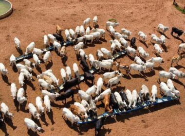 Especialista faz o checklist dos equipamentos essenciais para a fazenda
