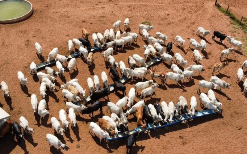 Especialista faz o checklist dos equipamentos essenciais para a fazenda