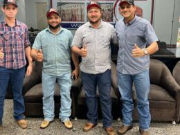 Pecuaristas de Rondônia dão show com super lote de gado jovem 