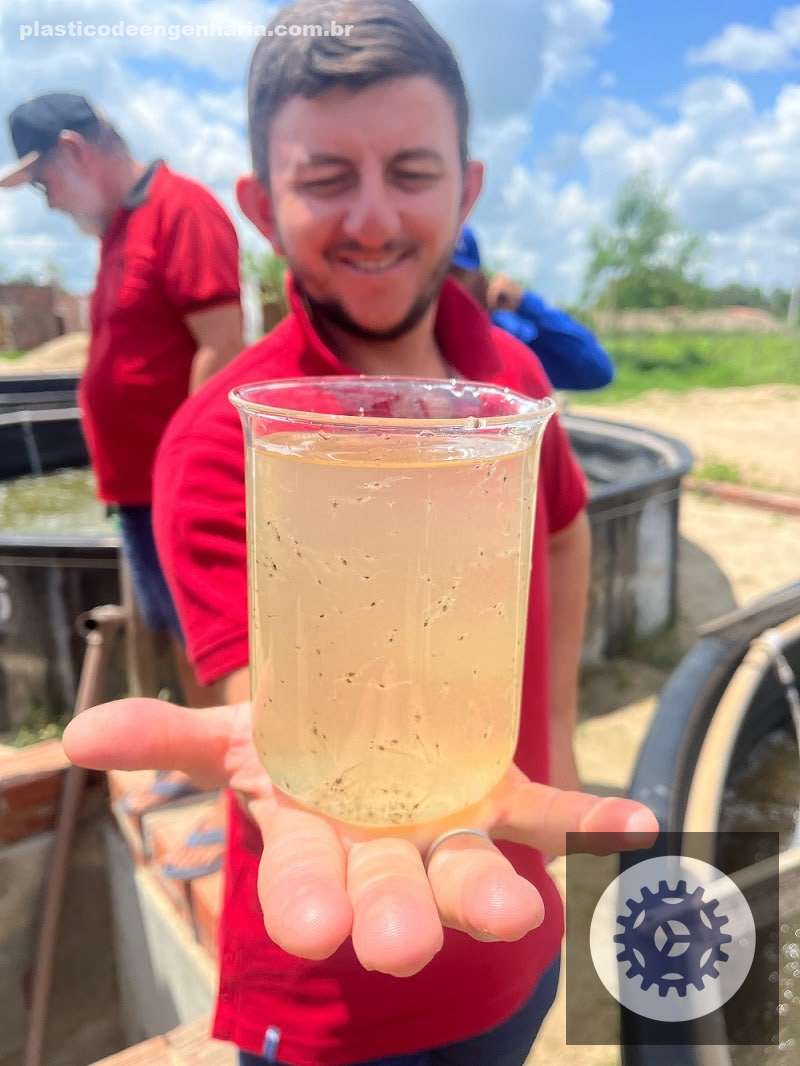 ouro azul do ceara capacitacao transforma viveiros de camaroes em