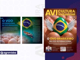 Ovo brasileiro conquista o mercado global e gera novas receitas, escala e previsibilidade ao setor 23 Ovo brasileiro conquista o mercado global e gera novas receitas, escala e previsibilidade ao setor