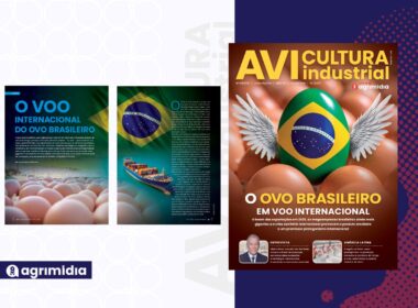 Ovo brasileiro conquista o mercado global e gera novas receitas, escala e previsibilidade ao setor