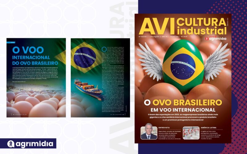 Ovo brasileiro conquista o mercado global e gera novas receitas, escala e previsibilidade ao setor