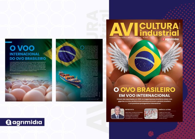 Ovo brasileiro conquista o mercado global e gera novas receitas, escala e previsibilidade ao setor