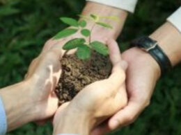 Pamplona Alimentos: Inovação Sustentável com Redução de 119 Mil Toneladas de CO2 18 pamplona alimentos inovacao sustentavel com reducao de 119 mil toneladas