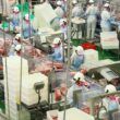parana bate recorde e lidera producao nacional de frango suinos