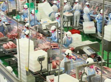 parana bate recorde e lidera producao nacional de frango suinos