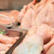 parana se sobressai nas exportacoes de carne de frango e