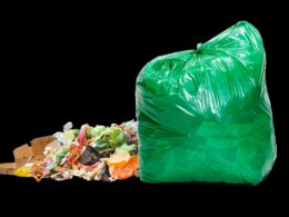 Parceria cria TPEs sustentáveis que reduzem pegada de carbono e impulsionam eficiência ambiental nas indústrias 17 parceria cria tpes sustentaveis que reduzem pegada de carbono e.pngmaxwidth1200