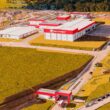 Pecuária em Pernambuco alcança crescimento histórico e impulsiona a economia local com novas oportunidades e desenvolvimento sustentável