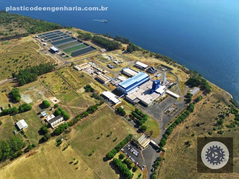 Pele firme e elástica? Genu-in® Life Skin, o novo colágeno da JBS, promete!