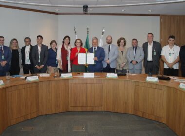 Petrobras investe em florestas produtivas com programa de incentivo