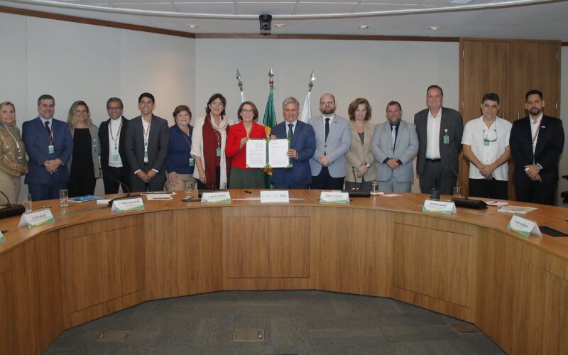 Petrobras investe em florestas produtivas com programa de incentivo