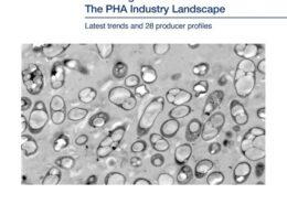 pha projeta aumento de capacidade de producao em dez vezes.jpgmaxwidth1200