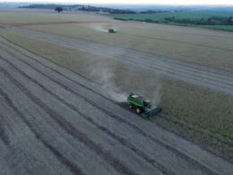 pirataria de sementes de soja ameaca producao e traz perdas