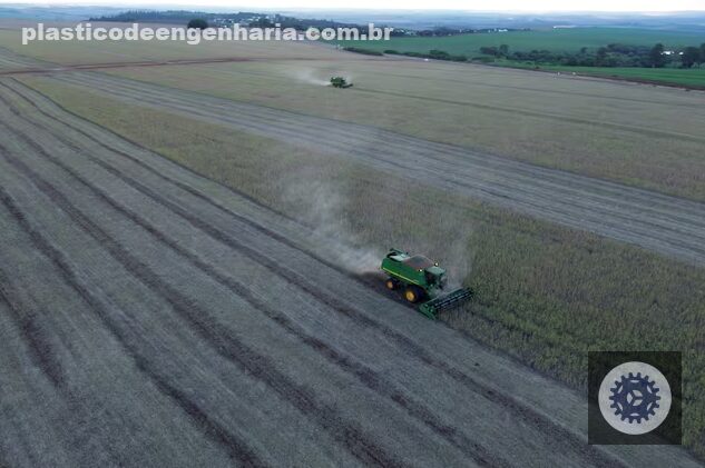 pirataria de sementes de soja ameaca producao e traz perdas