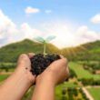 plano safra 20242025 bilhoes em apoio a agricultura familiar e