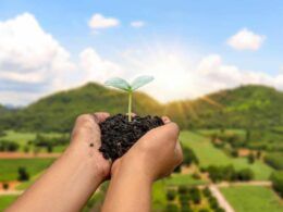 plano safra 20242025 bilhoes em apoio a agricultura familiar e