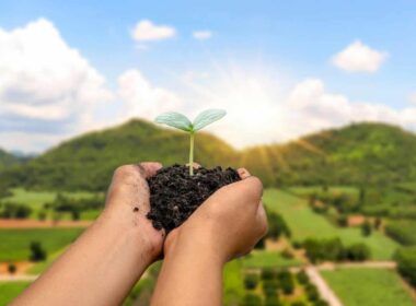 plano safra 20242025 bilhoes em apoio a agricultura familiar e