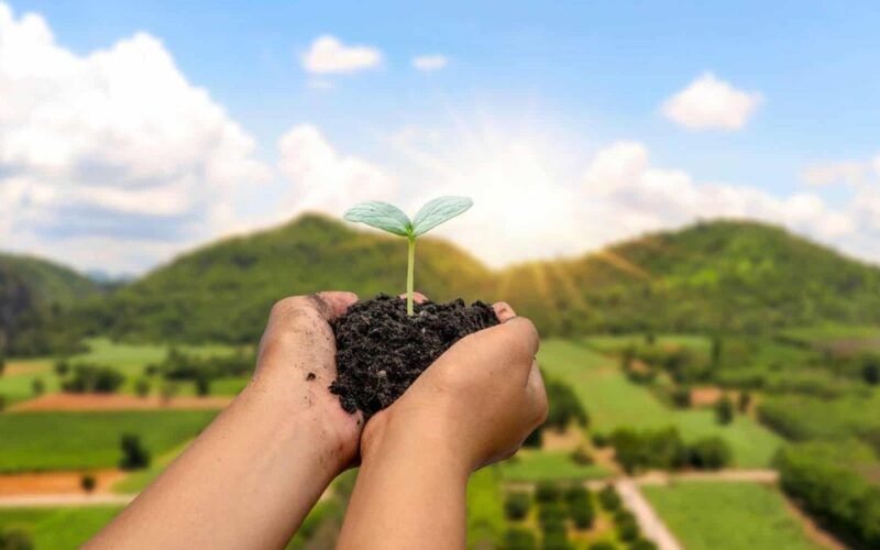 plano safra 20242025 bilhoes em apoio a agricultura familiar e