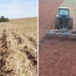 Plantio directo ou arado: descubra qual método potencializa sua irrigação e integração com pastagens