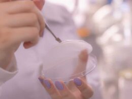 Plástico de amido e bioplástico de resíduos agropecuários oferecem opções sustentáveis com tampas ecológicas eficientes