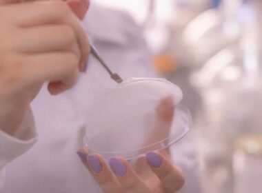 Plástico de amido e bioplástico de resíduos agropecuários oferecem opções sustentáveis com tampas ecológicas eficientes