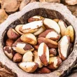 plastico de castanha uma alternativa sustentavel para garrafa biodegradavel e.webp