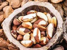 plastico de castanha uma alternativa sustentavel para garrafa biodegradavel e.webp