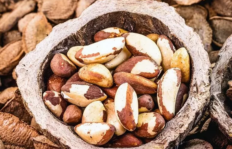plastico de castanha uma alternativa sustentavel para garrafa biodegradavel e.webp