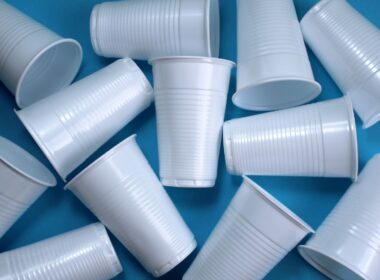 plastico necessidade ou opcao descubra a importancia e o impacto