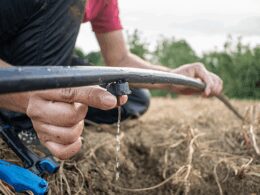 Plástico reciclado atinge alta qualidade 11 Plástico reciclado atinge alta qualidade